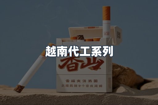 越南代工系列